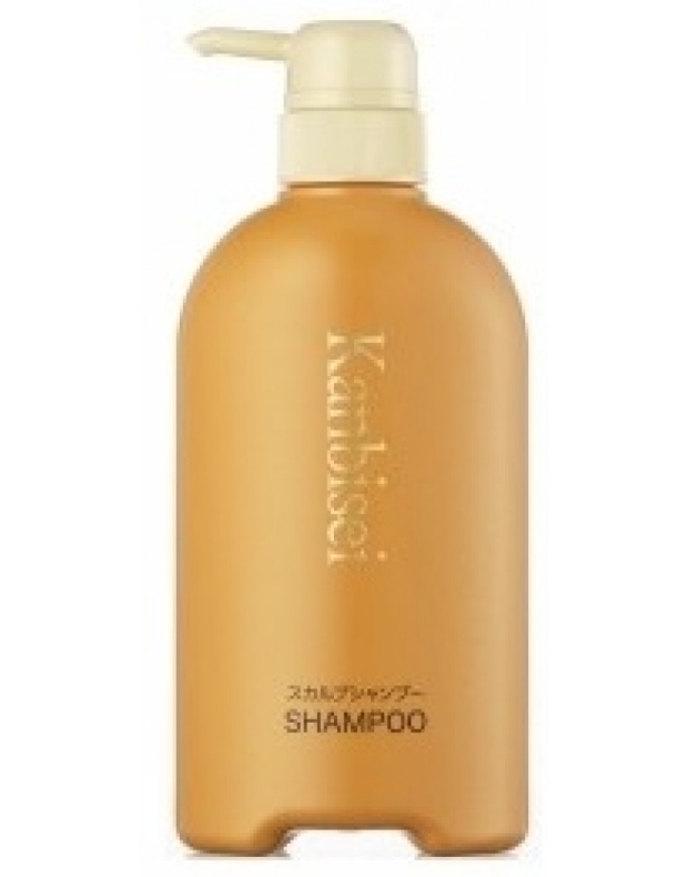 Лечебный очищающий шампунь для кожи головы и волос Канбисей Kanbisei Shampoo